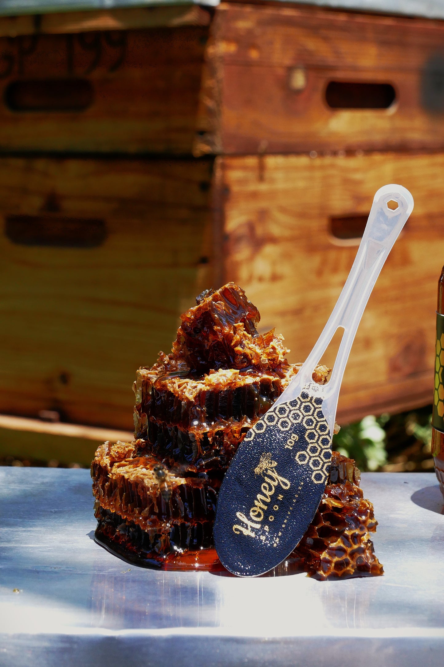 10 x 10g Honey Spoons