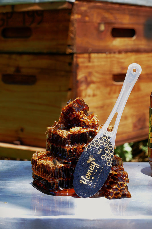 10 x 10g Honey Spoons
